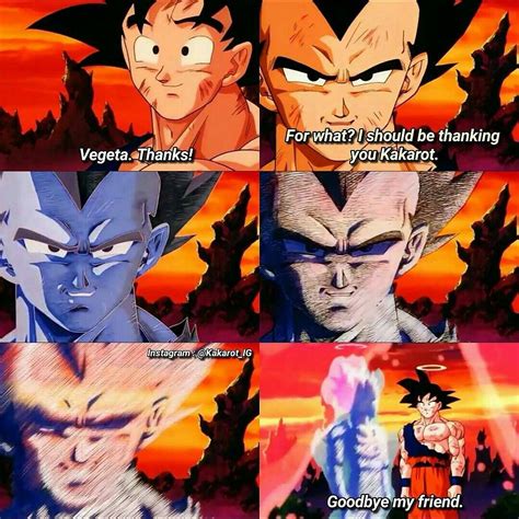 Anime Dragon Ball Z Dragon Ball Goku Vegeta Dragon Ba - vrogue.co