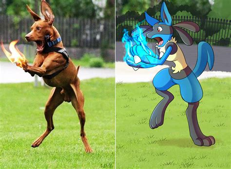 When Lucario Uses Aura For The First Time by PUPPERCASE on DeviantArt