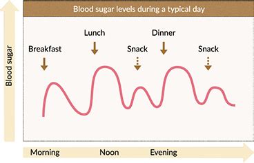 How To Increase Glucose Levels - Chemistrywalk20