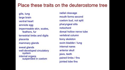 Solved Place these traits on the deuterostome tree radial | Chegg.com