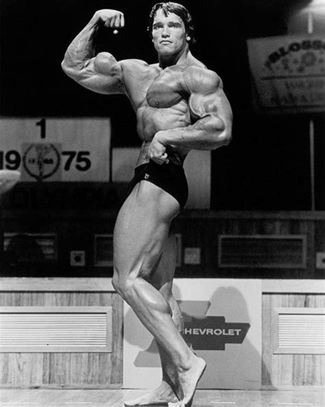 Arnold Schwarzenegger Biceps