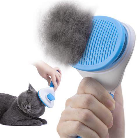 Best Brush for a Border Collie: Top 5 Picks for Effective Grooming - DogResources