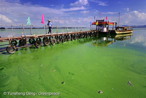 River diversion to flush pollution out of Yunnan’s Dianchi Lake