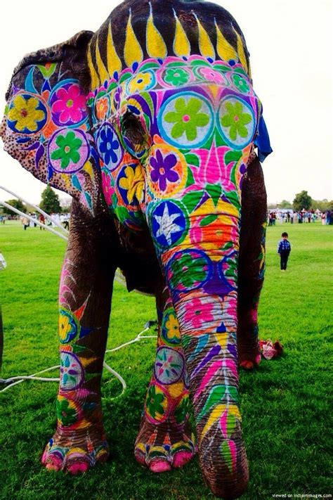 #india | Elephant, Animals beautiful, Colorful elephant