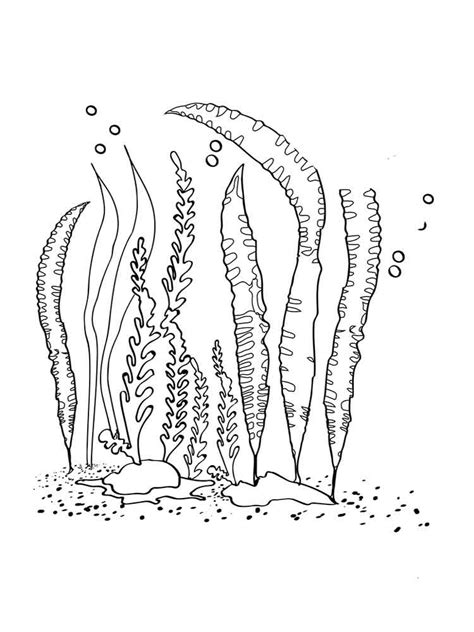 Free Sea Plants Coloring Pages