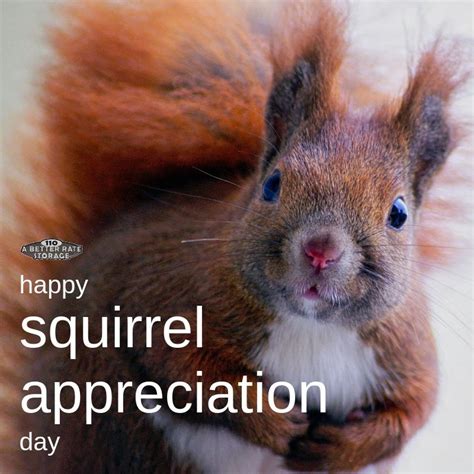 Squirrel Appreciation Day 2019