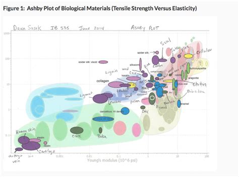 Module 2: Ashby Plot Activity - Personal Bioinspiration Archive