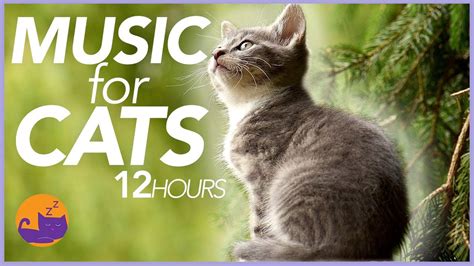 EXTRA CALMING Music for Cats with Anxiety - Instrumental Relaxation ...