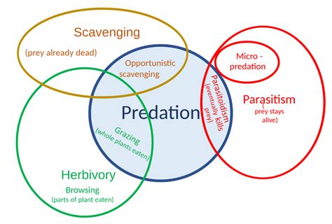 16.1: Predation - Biology LibreTexts