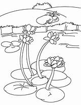 Coloring Pages Of Ponds sketch template