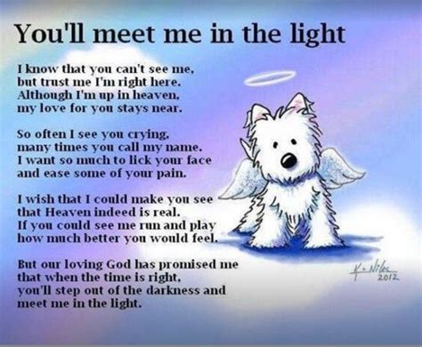 Rainbow Bridge Dog Quotes - Inspiration