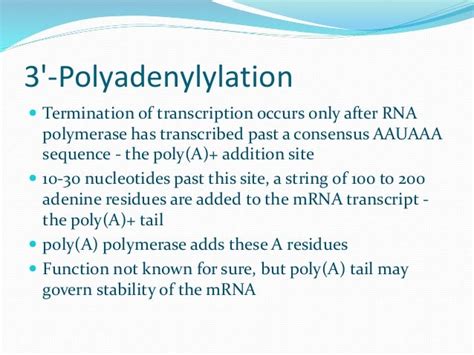 Polyadenylation