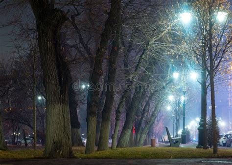 Almaty City Night Streets and Parks on Winter 2021 - 2022 Stock Image ...