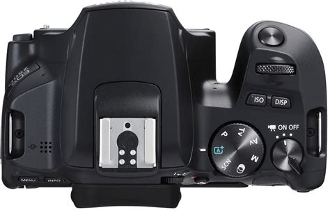 Accessories Canon EOS 250D housing black - Foto Erhardt