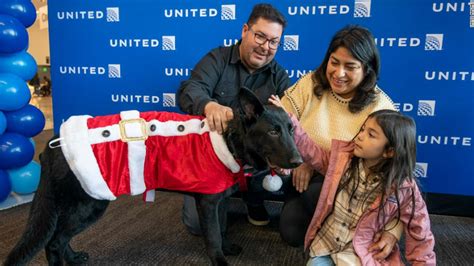 Pilot adopts dog abandoned at San Francisco airport | CNN Travel