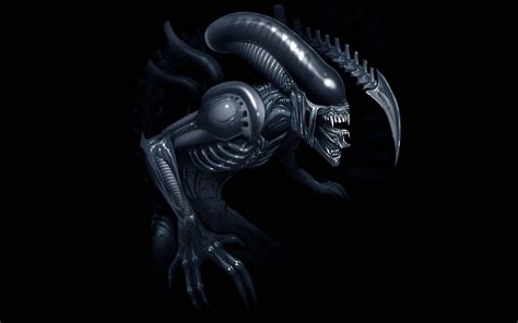 Hr giger aliens movie 1440x900 High Quality HD wallpaper | Pxfuel