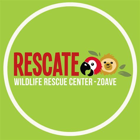 Rescate Wildlife Rescue Center Programs