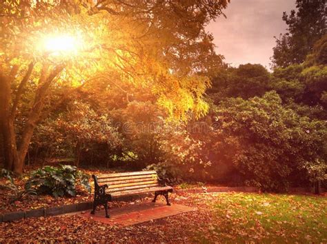 Autumn bench in park stock image. Image of warmth, pretty - 40365335