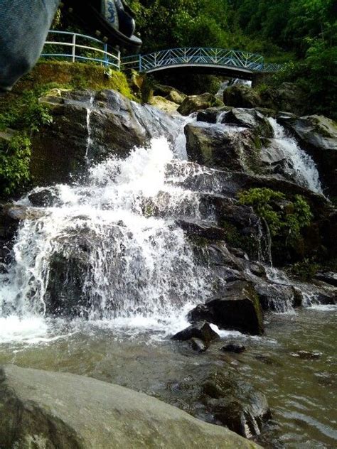 Rock Garden,Darjeeling | Places to visit, Darjeeling, Rock garden