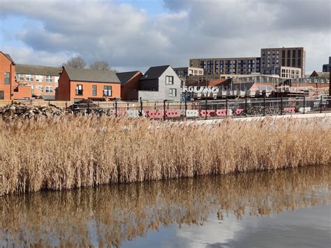 Reeds along the Grand Union Canal © Mat Fascione cc-by-sa/2.0 :: Geograph Britain and Ireland