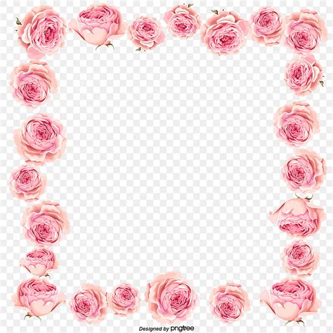 Pink Magnolia PNG Picture, Vector Pink Magnolia Flower Border, Flower ...