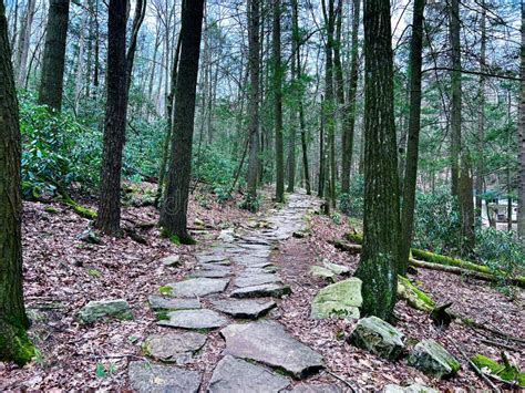 Tussey Mountain in Pennsylvania Stock Image - Image of deciduous, 2023: ...