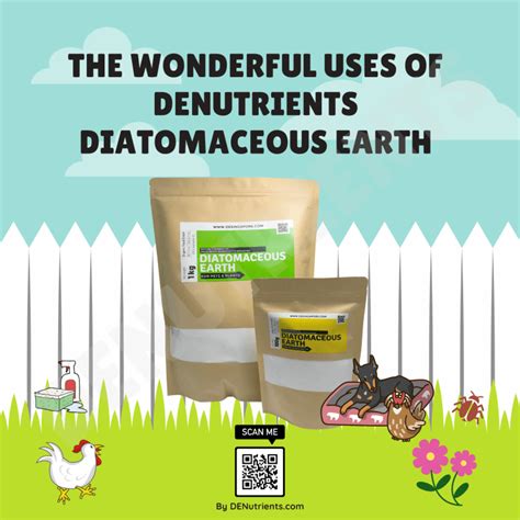 The Wonderful Uses of Diatomaceous Earth – Infographic Guide ...