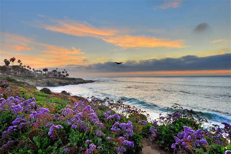 Flowers by the Ocean Photograph by Mark Whitt - Pixels