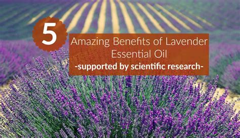5 Amazing Benefits of Lavender Essential Oil - The Healthy Apron