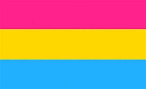 Perfectflags Pansexual Flag 5ft x 3ft Large - 100% Polyester - Metal Eyelets - Double Stitched ...