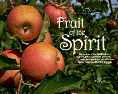 Fruit of the Spirit - Bible Verses and Scripture Wallpaper for Phone or ...