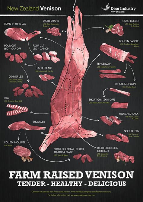 Deer Industry New Zealand // Cuts Chart Poster :: Behance