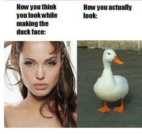 35 Duck Memes That Will Make You Quack All Day | Duck memes, Duck face ...