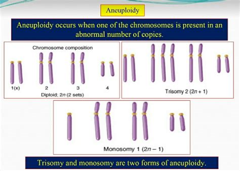 Polyploidy: A Game with Chromosome Numbers : Plantlet