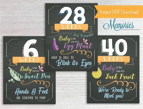 Printable Pregnancy Milestones Week by Week Pregnancy Sign - Etsy