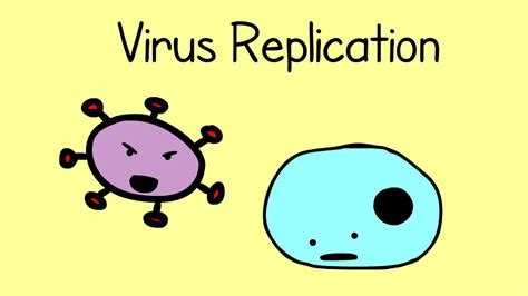 Virus Replication - YouTube