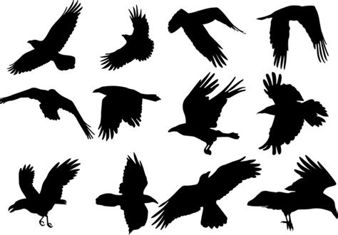 Flying Raven Silhouette at GetDrawings | Free download