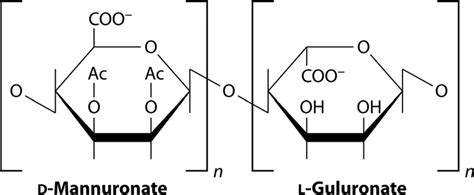 Chemical structure of alginate. Alginate is a polyanionic... | Download ...