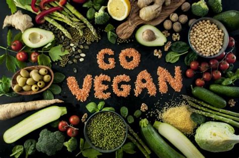 The Vegan Diet: A Look at Sustainability | Feast