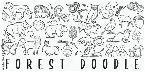 Forest Animals Doodle Line Art Illustration. Hand Drawn Vector Clip Art. Banner Set Logos. Stock ...