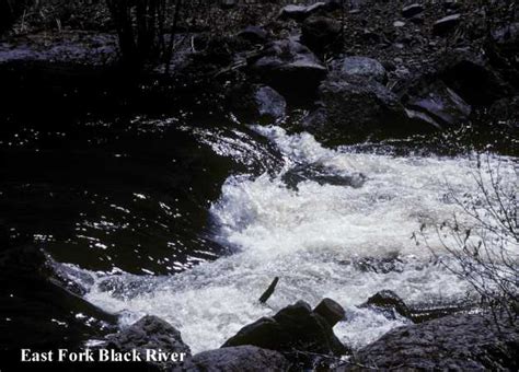 Photograph of East Fork of Black River, Arizona