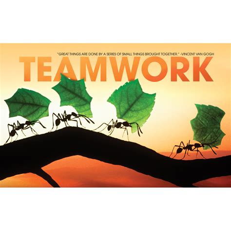 Teamwork Ants - Walls 360