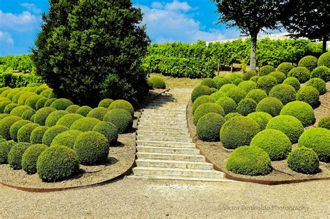 Gardens of the Château Royal d'Amboise | Amboise, Chateau, Royal