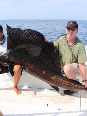 Sailfish Fish Mounts & Replicas by Coast-to-Coast Fish Mounts