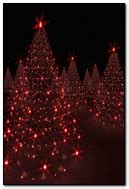 Christmas Trees iPhone Live Wallpaper - Download on PHONEKY iOS App