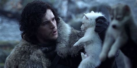 Game Of Thrones: The Fates Of The Stark Direwolves Explained : r/gameofthrones