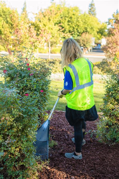 Photo Gallery • 2021 Volunteer Garden Day