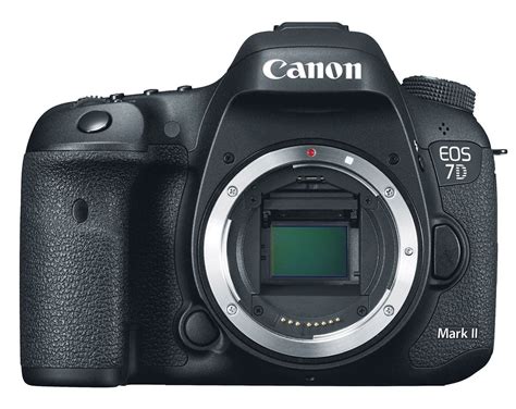 Canon EOS 7D Mark II Review