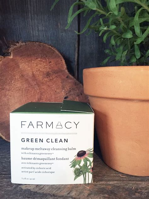 {Review} Farmacy Beauty Green Clean Cleanser + Discount | Paint The ...