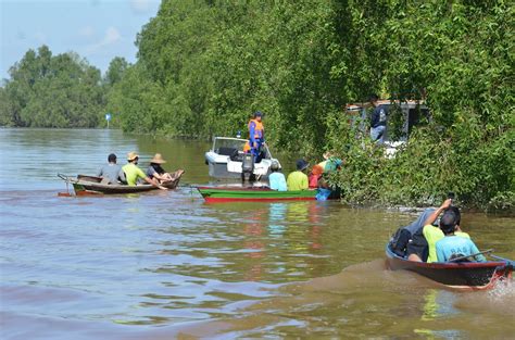 SBI Perbaiki Habitat Bekantan Pulau Curiak ~ Sahabat Bekantan Indonesia